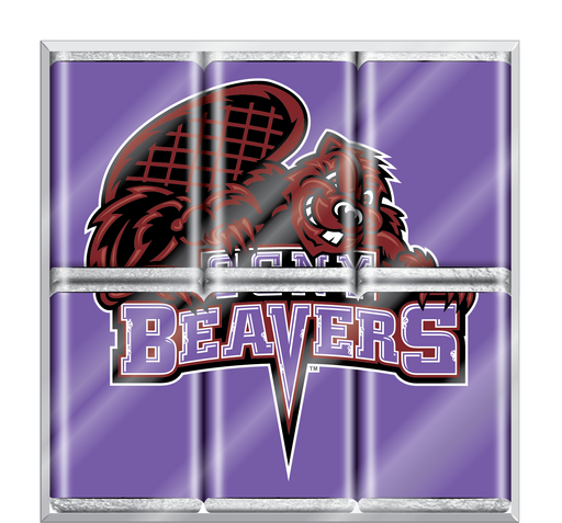 City College of New York Beavers Chocolate Puzzle (18ct Counter Display)