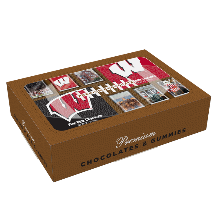 Wisconsin Badgers Chocolate & Candy Multipack