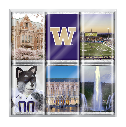 Washington Huskies Chocolate Iconics (18ct Counter Display)